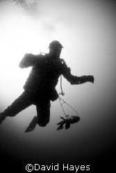 Completing safety stops after spearfishing for Rock Bass ... by David Hayes 